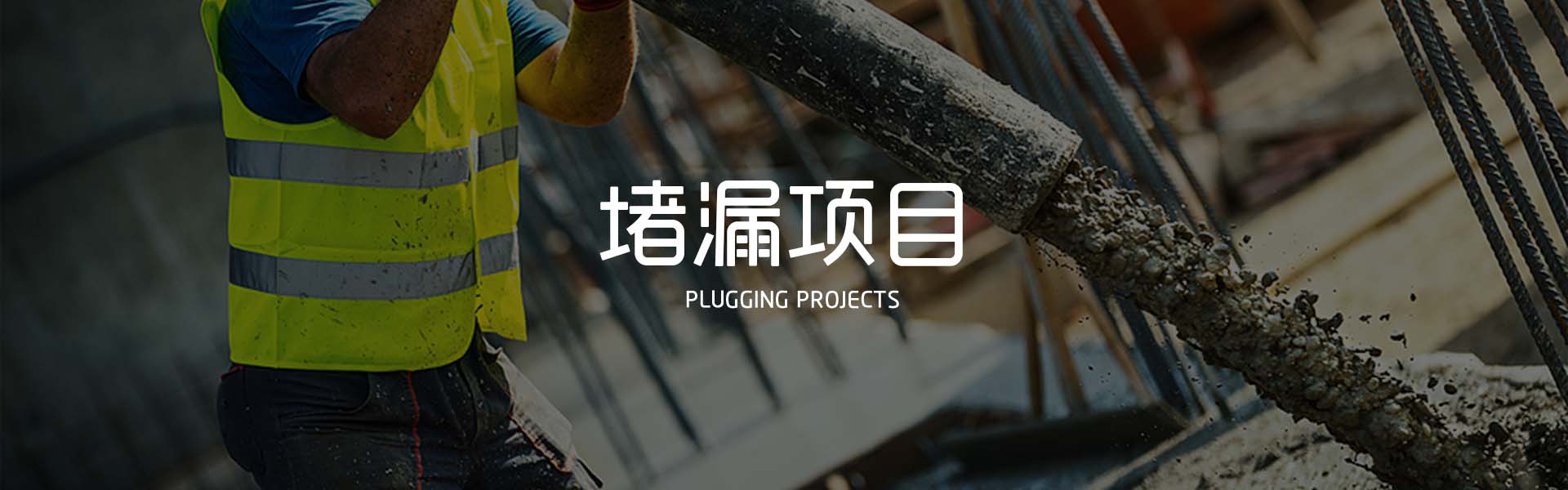 蜜桃视频无码区在线观看項目