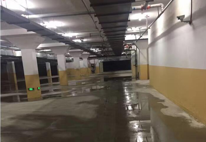 地下室蜜桃视频无码区在线观看
