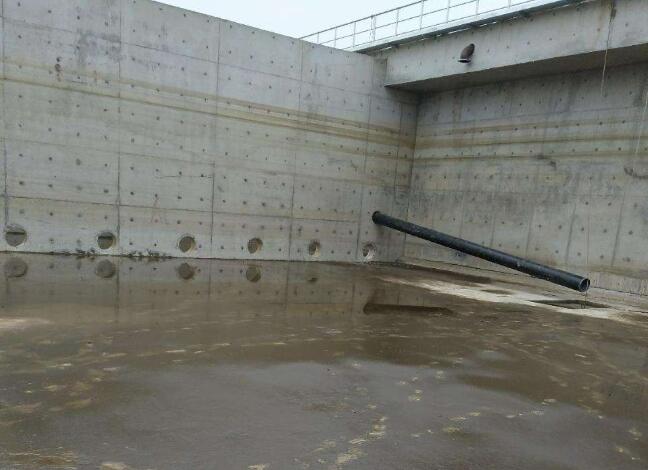 化工水池蜜桃视频无码区在线观看